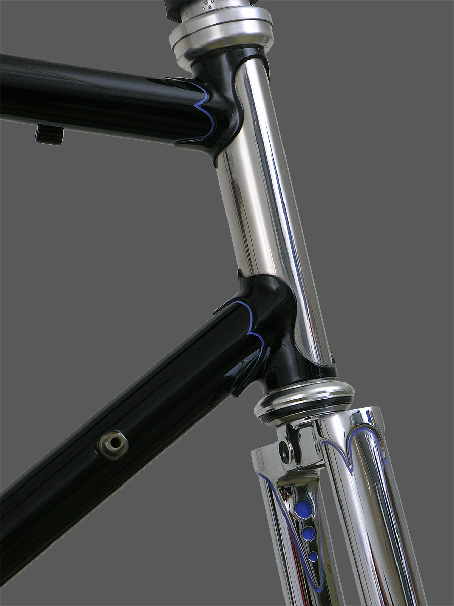 Stainless Head Tube with Painted Top and Downtubes