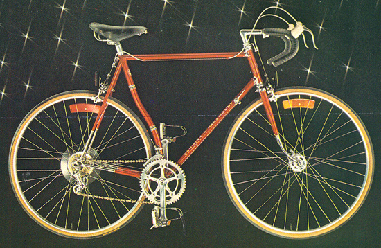 Schwinn Sprint Bicycle Decal Set 